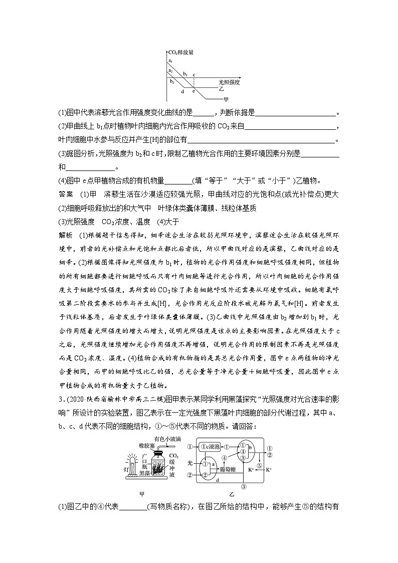 (新高考)高考生物二轮复习第1部分 专题突破 专题2 重难大题集训(一) 光合作用和细胞呼吸的综合应用02