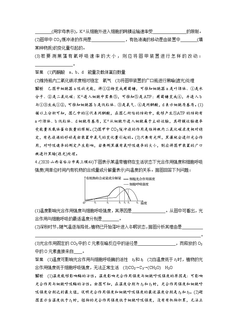 (新高考)高考生物二轮复习第1部分 专题突破 专题2 重难大题集训(一) 光合作用和细胞呼吸的综合应用03