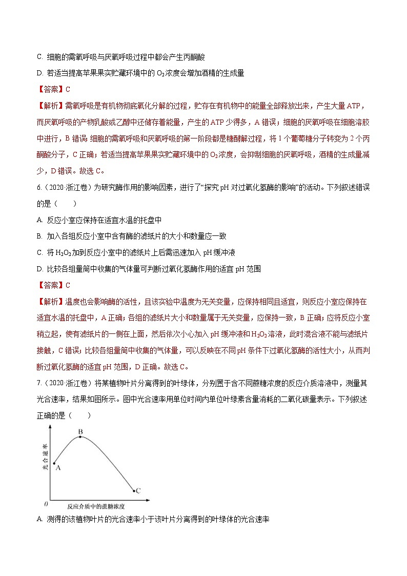 专题02 细胞的能量与代谢-十年(2011-2020)高考真题生物分项详解(含解析)03