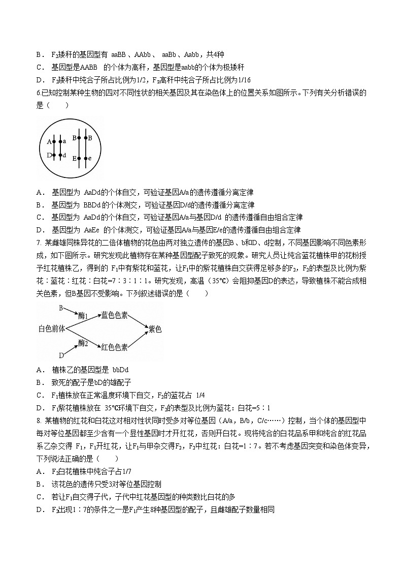 四川省成都市七中2022-2023学年高一下学期期末生物试题第2页