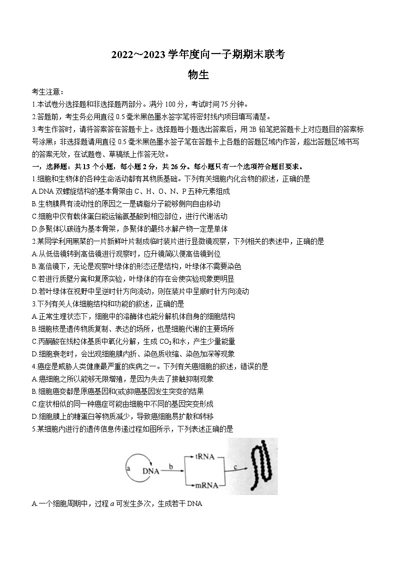 安徽省亳州市涡阳县二中等校2022-2023学年高二下学期期末联考生物试题第1页