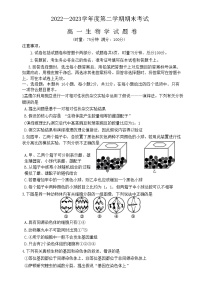 湖南省益阳市桃江县2022-2023学年高一生物下学期7月期末试题（Word版附答案）