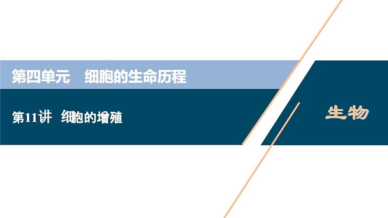 高考生物一轮复习课件第4单元 第11讲 细胞的增殖 (含解析)01