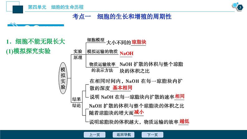 高考生物一轮复习课件第4单元 第11讲 细胞的增殖 (含解析)04