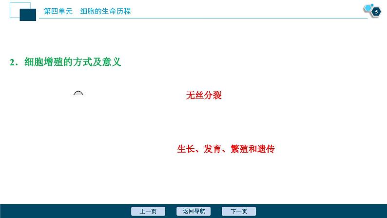 高考生物一轮复习课件第4单元 第11讲 细胞的增殖 (含解析)06