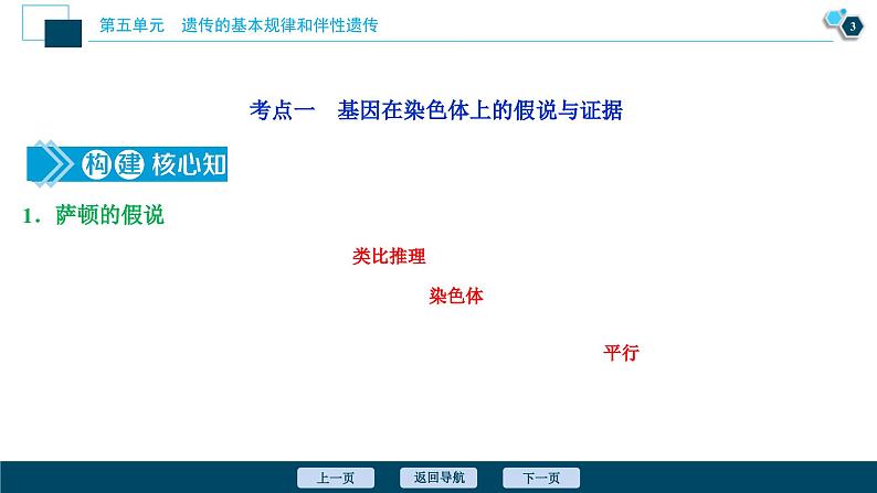 高考生物一轮复习课件第5单元 第16讲 伴性遗传及人类遗传病 (含解析)第4页