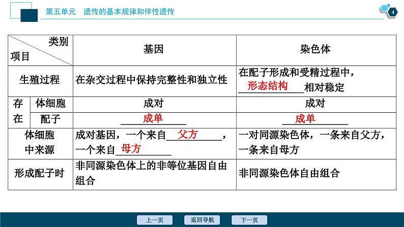 高考生物一轮复习课件第5单元 第16讲 伴性遗传及人类遗传病 (含解析)第5页