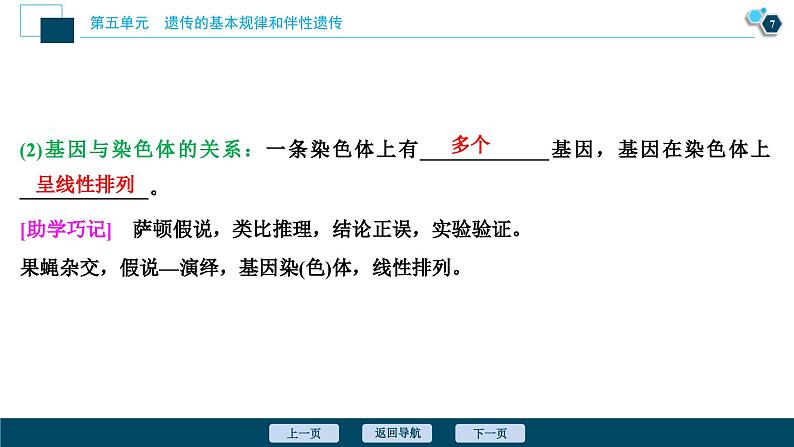 高考生物一轮复习课件第5单元 第16讲 伴性遗传及人类遗传病 (含解析)第8页
