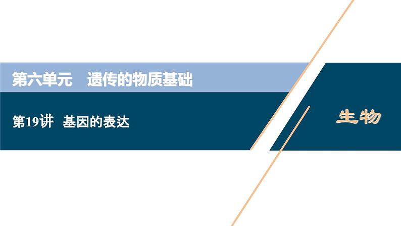 高考生物一轮复习课件第6单元 第19讲 基因的表达 (含解析)01