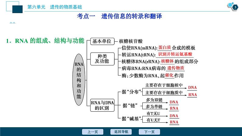 高考生物一轮复习课件第6单元 第19讲 基因的表达 (含解析)04