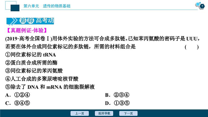 高考生物一轮复习课件第6单元 第19讲 基因的表达 (含解析)08