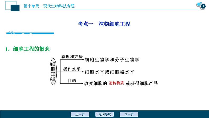 高考生物一轮复习课件第10单元 第34讲 细胞工程 (含解析)第4页
