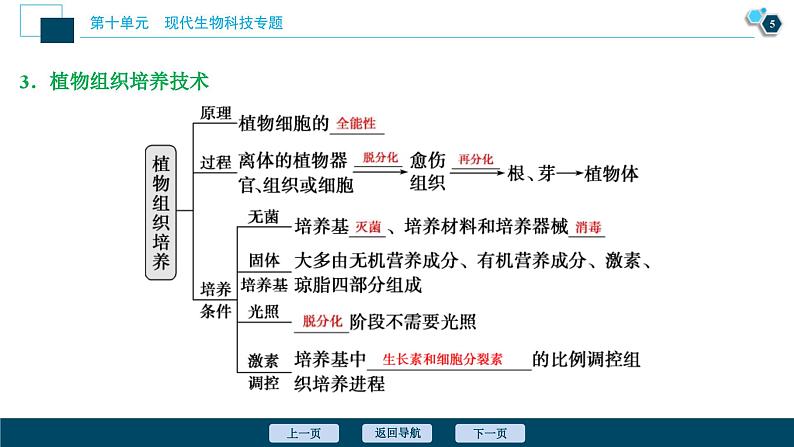 高考生物一轮复习课件第10单元 第34讲 细胞工程 (含解析)第6页