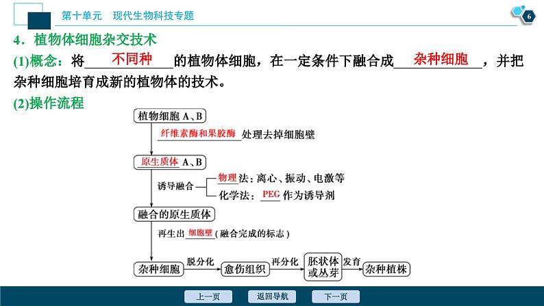 高考生物一轮复习课件第10单元 第34讲 细胞工程 (含解析)第7页