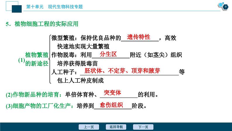 高考生物一轮复习课件第10单元 第34讲 细胞工程 (含解析)第8页
