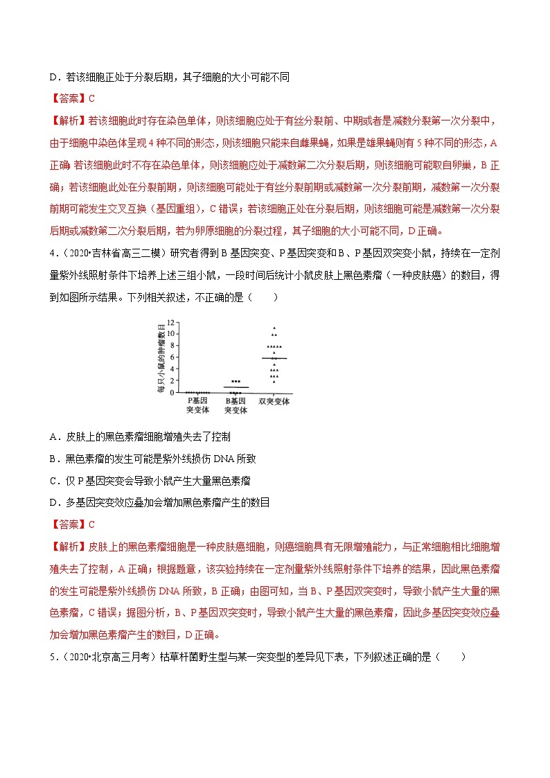 高考生物三轮冲刺考前提分练习专题06 变异、育种与进化（含解析）02