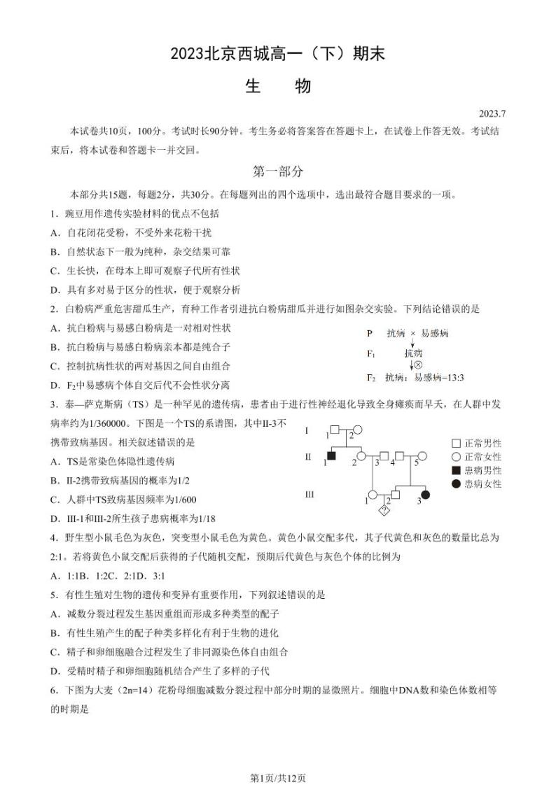 2022-2023学年北京西城区高一下学期期末生物试题及答案01