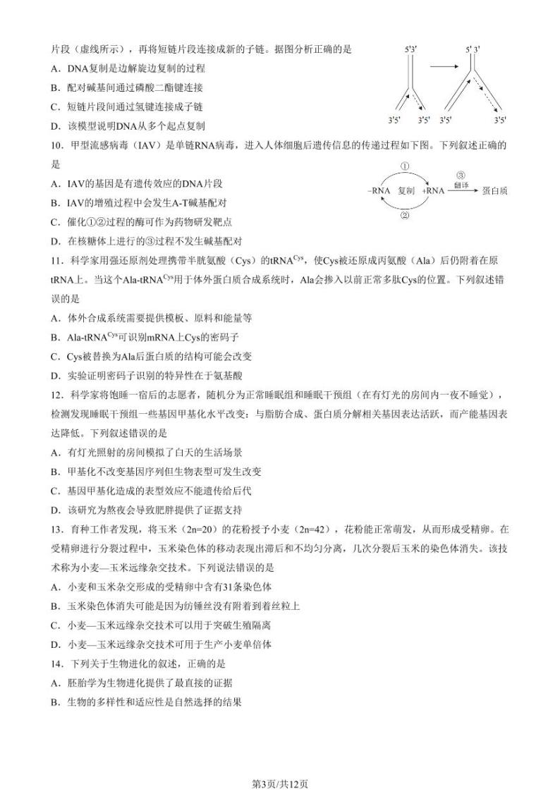 2022-2023学年北京西城区高一下学期期末生物试题及答案03