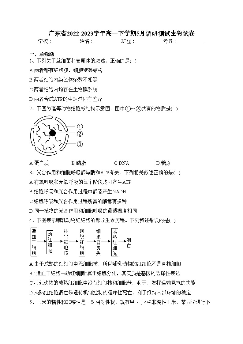 广东省2022-2023学年高一下学期5月调研测试生物试卷(含答案)01