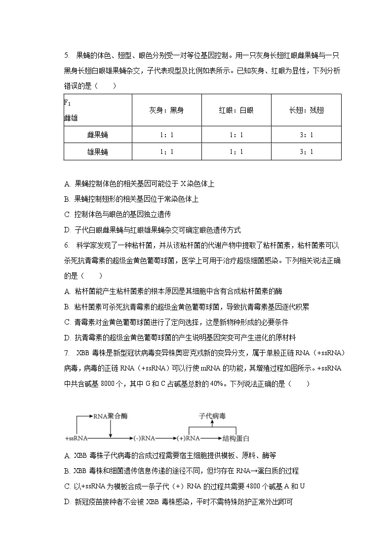 2022-2023学年江西省南昌市高一（下）期末生物试卷（含解析）02