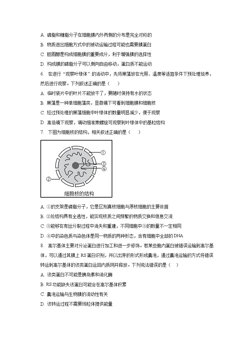 2022-2023学年山东省济南市高一（上）期末生物试卷（含解析）02