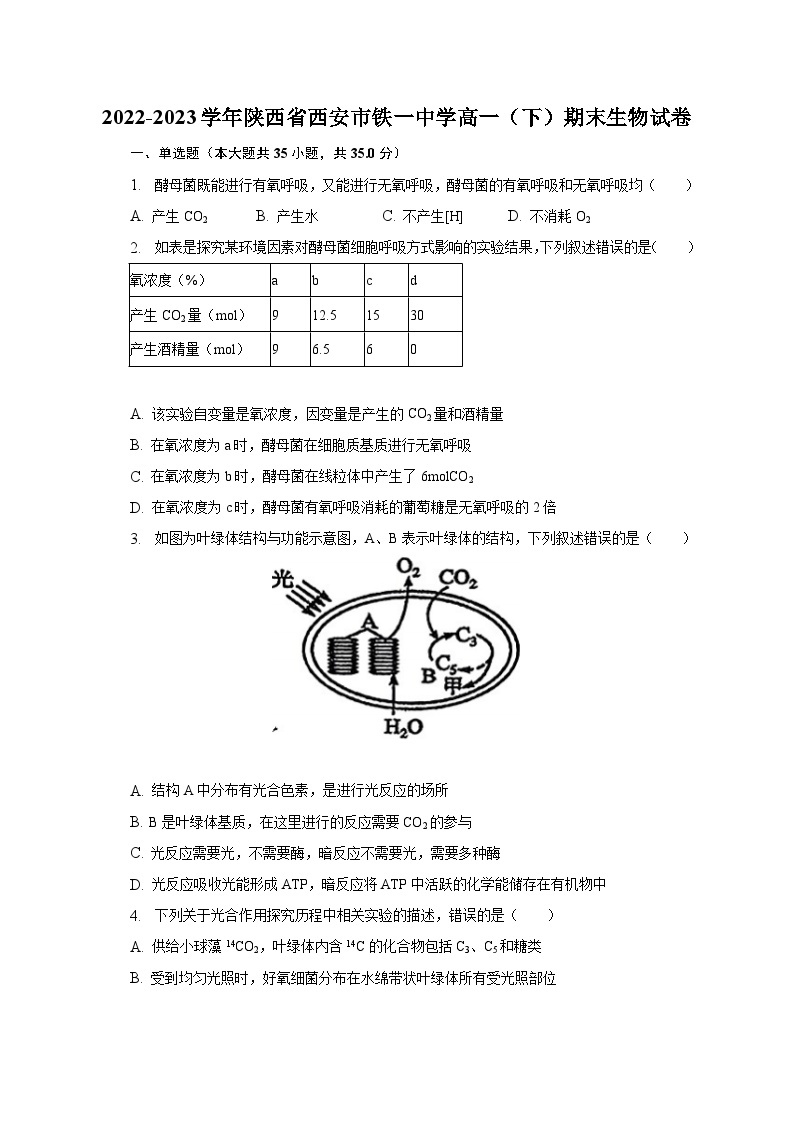 2022-2023学年陕西省西安市铁一中学高一（下）期末生物试卷（含解析）01