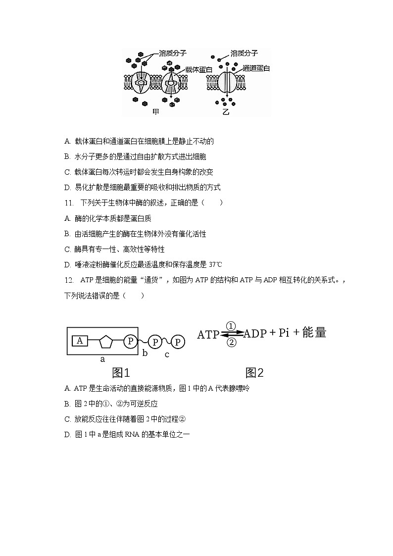 2022-2023学年新疆乌鲁木齐市五校联考高二(下)期末生物试卷(含解析)03
