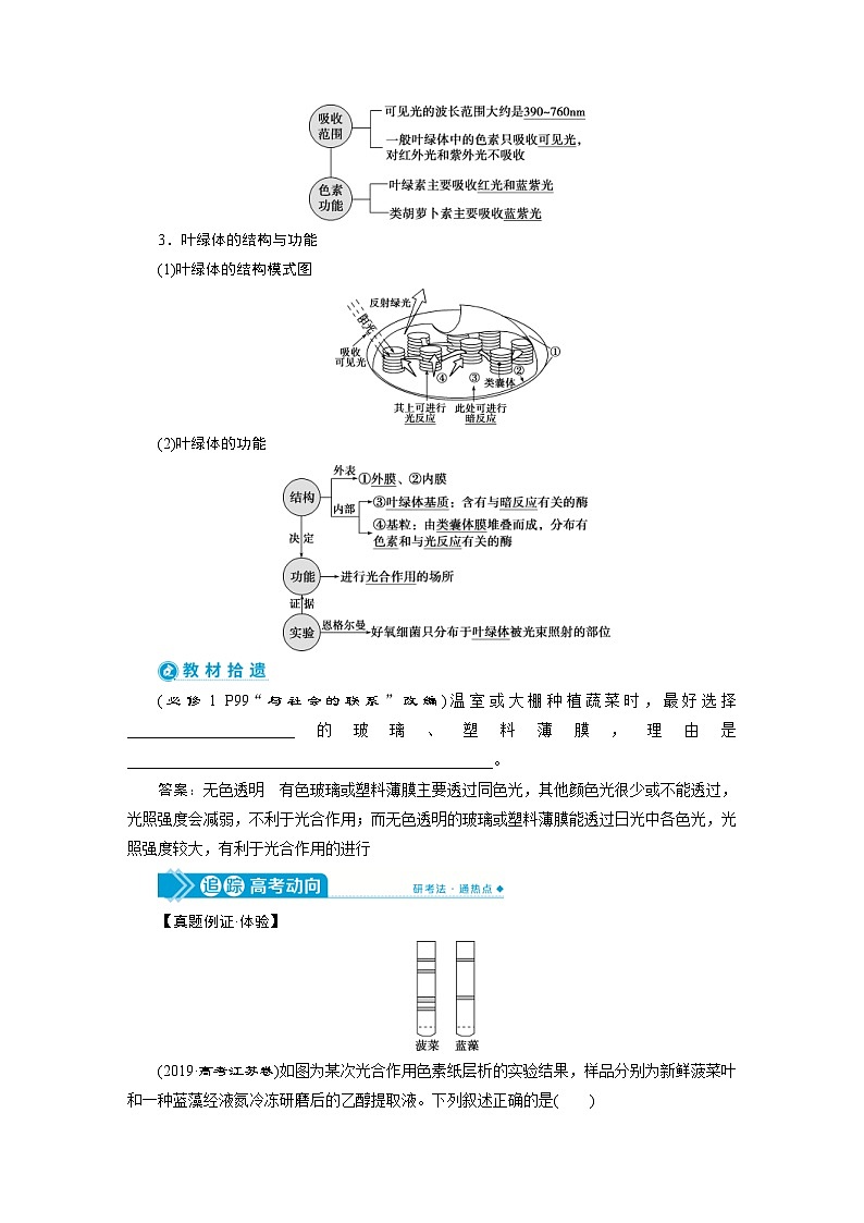 高考生物一轮复习考点过关练习第3单元 第10讲 能量之源 光与光合作用 (含解析)第2页