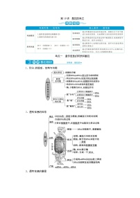 高考生物一轮复习考点过关练习第6单元　第19讲　基因的表达(含解析)