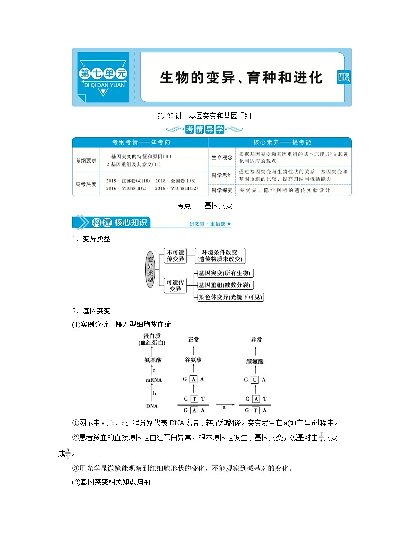 高考生物一轮复习考点过关练习第7单元 第20讲 基因突变和基因重组(含解析)第1页