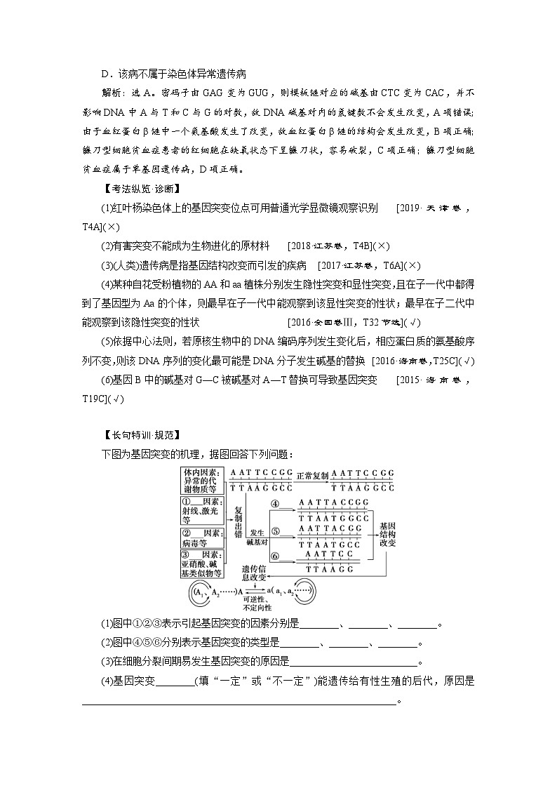 高考生物一轮复习考点过关练习第7单元 第20讲 基因突变和基因重组(含解析)第3页