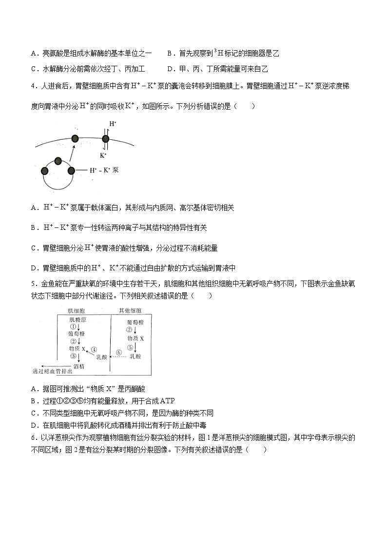 陕西省安康市2022-2023学年高一下学期期末生物试题(无答案)02