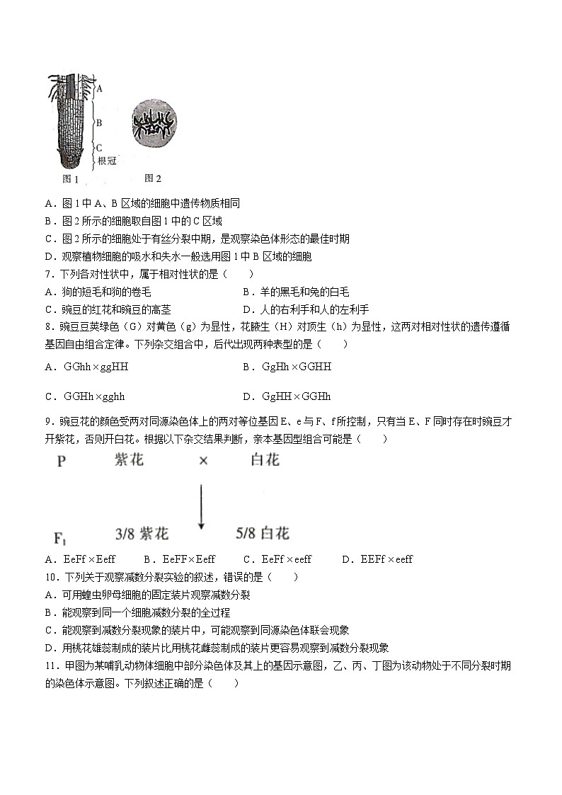 陕西省安康市2022-2023学年高一下学期期末生物试题(无答案)03