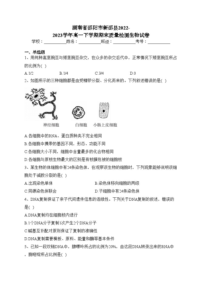 湖南省邵阳市新邵县2022-2023学年高一下学期期末质量检测生物试卷(含答案)01