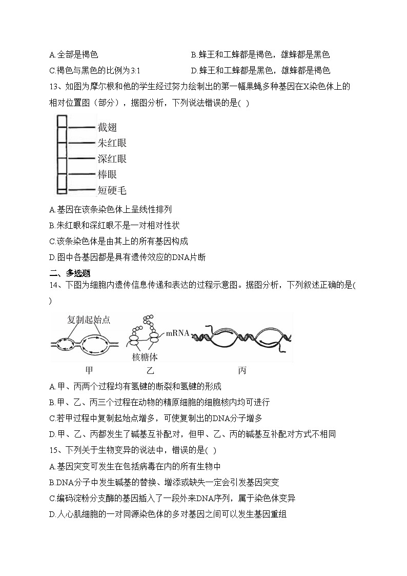 湖南省邵阳市新邵县2022-2023学年高一下学期期末质量检测生物试卷(含答案)03