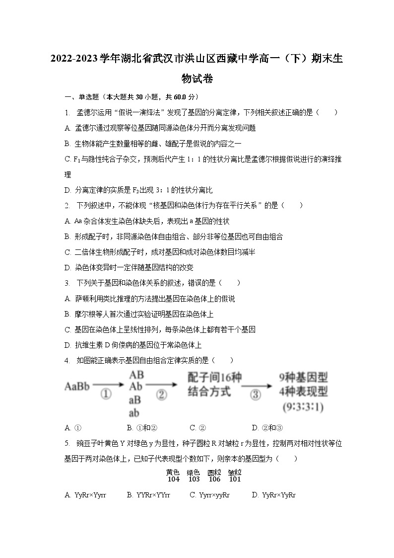2022-2023学年湖北省武汉市洪山区西藏中学高一（下）期末生物试卷（含解析）01