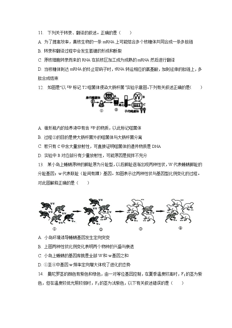 2022-2023学年湖北省武汉市洪山区西藏中学高一（下）期末生物试卷（含解析）03