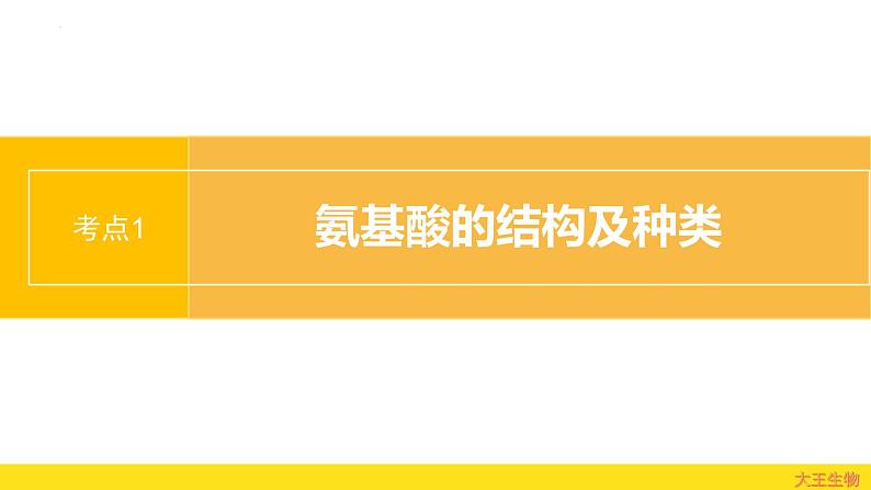 2.4 蛋白质是生命活动的主要承担者 课件 2024届高三生物(人教版2019)一轮复习第2页