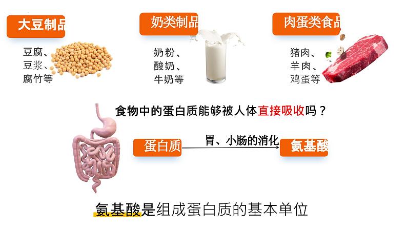 2.4 蛋白质是生命活动的主要承担者 课件 2024届高三生物(人教版2019)一轮复习第3页