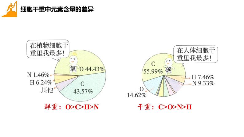 2024届高三生物一轮复习课件组成细胞的分子(纯知识)第6页
