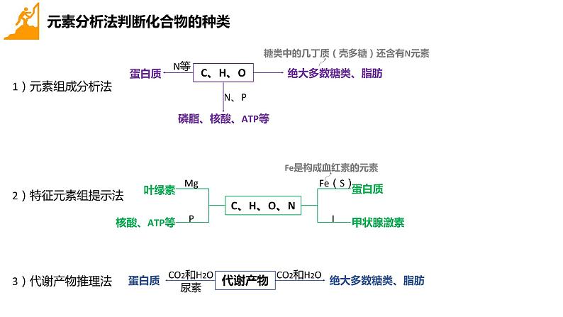 2024届高三生物一轮复习课件组成细胞的分子(纯知识)第8页