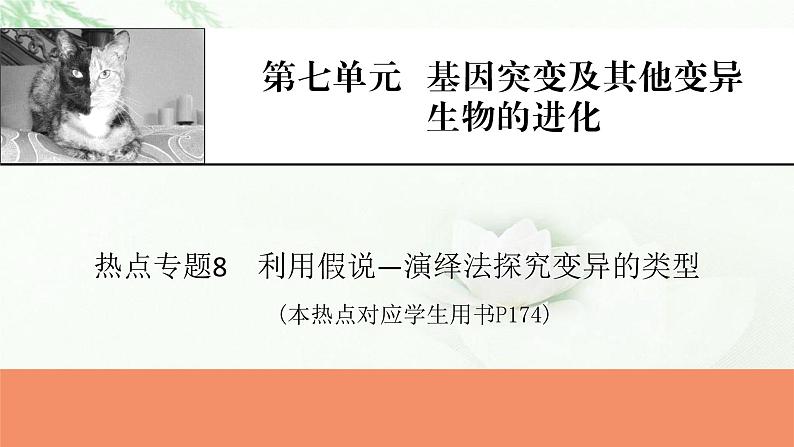 2024届高考生物一轮复习第七单元基因突变及其他变异生物的进化热点专题8利用假说—演绎法探究变异的类型课件01