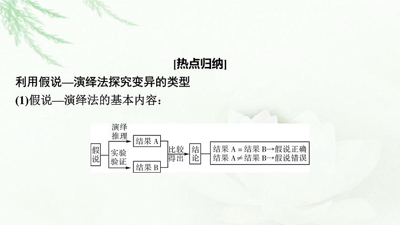 2024届高考生物一轮复习第七单元基因突变及其他变异生物的进化热点专题8利用假说—演绎法探究变异的类型课件02