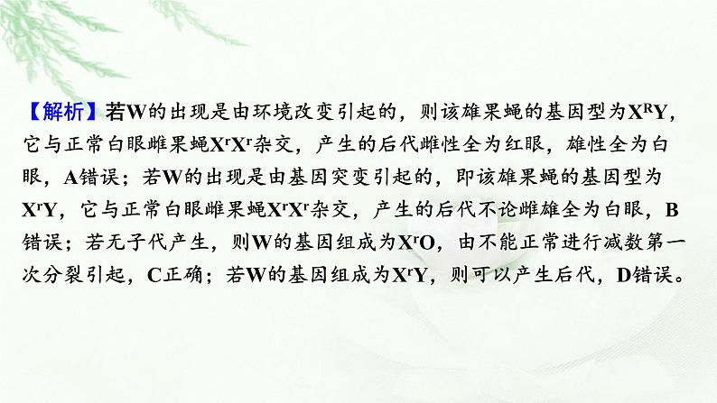 2024届高考生物一轮复习第七单元基因突变及其他变异生物的进化热点专题8利用假说—演绎法探究变异的类型课件05