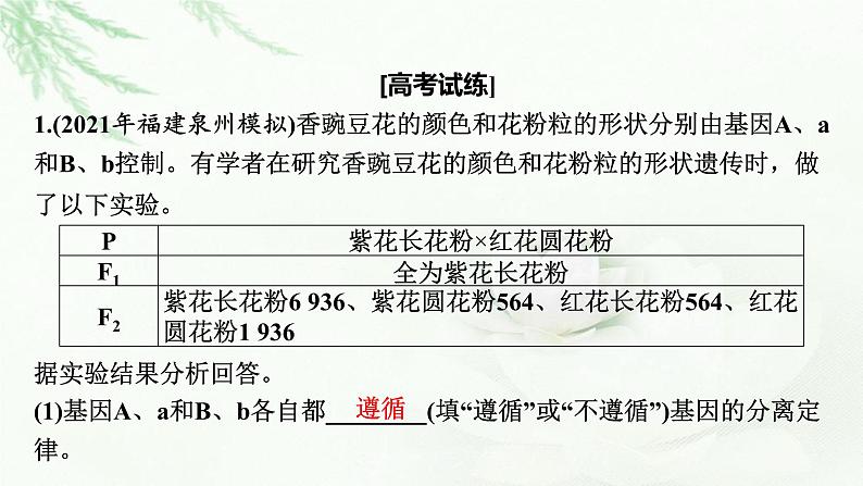 2024届高考生物一轮复习第七单元基因突变及其他变异生物的进化热点专题8利用假说—演绎法探究变异的类型课件06