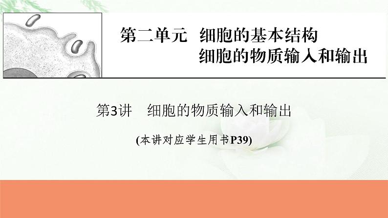 2024届高考生物一轮复习第二单元细胞的基本结构细胞的物质输入和输出第3讲细胞的物质输入和输出课件第1页