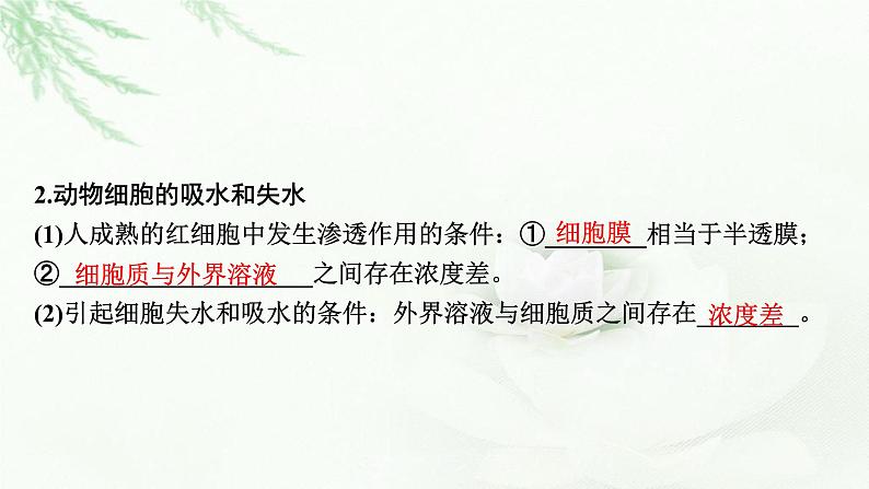 2024届高考生物一轮复习第二单元细胞的基本结构细胞的物质输入和输出第3讲细胞的物质输入和输出课件第4页