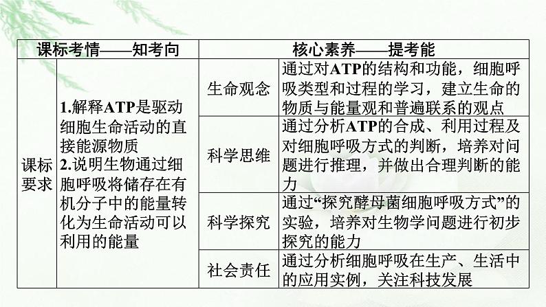 2024届高考生物一轮复习第三单元细胞的能量供应和作用第2讲细胞的能量“货币”ATP细胞呼吸的原理和应用课件第2页