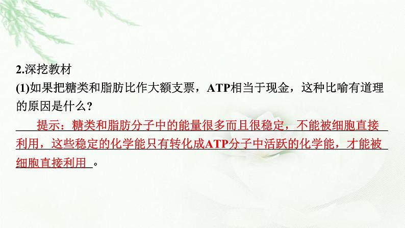 2024届高考生物一轮复习第三单元细胞的能量供应和作用第2讲细胞的能量“货币”ATP细胞呼吸的原理和应用课件第5页