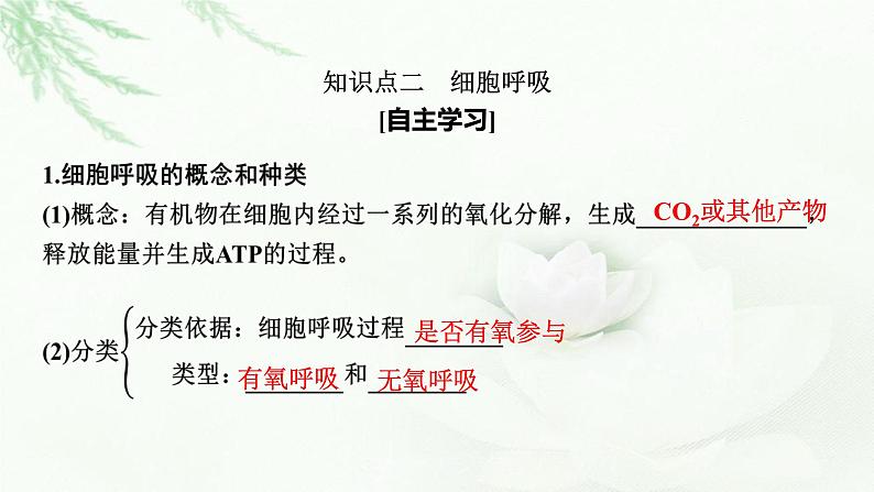 2024届高考生物一轮复习第三单元细胞的能量供应和作用第2讲细胞的能量“货币”ATP细胞呼吸的原理和应用课件第7页